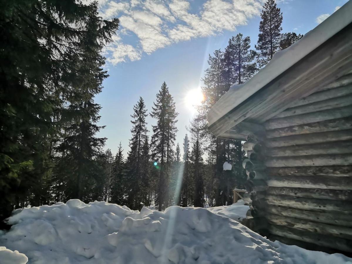Syöte Mantytupa Lodge المظهر الخارجي الصورة